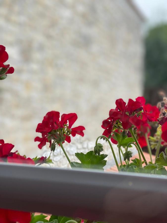 Bed and Breakfast Le Vieux Moulin Bouhet Exterior foto